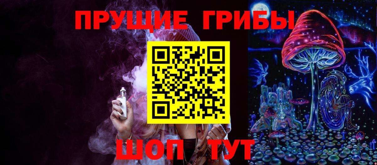 Псилоцибиновые грибы Psilocybe Корсаков